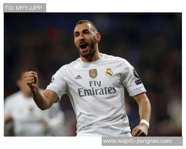 本泽马：阿隆索能做的不多，皇马众星需求交流