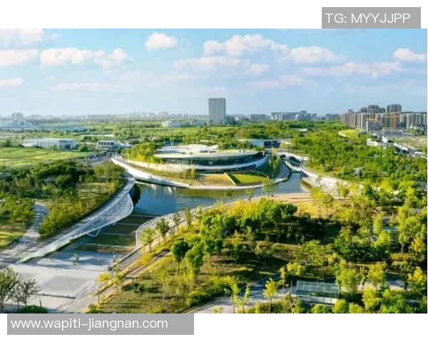 桃浦镇全力护航，2025新金环上海Top Run 10公里精英赛圆满闭幕